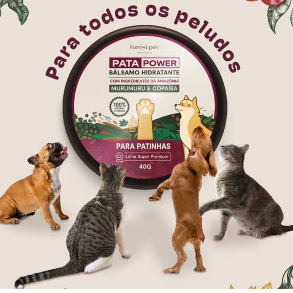 Bálsamo Pata Power Furest Pet - Image 6