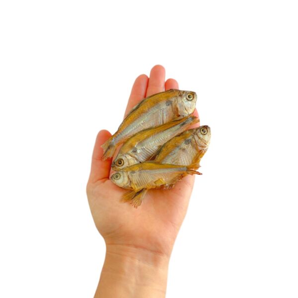 Petisco Lambari 80g - Image 2