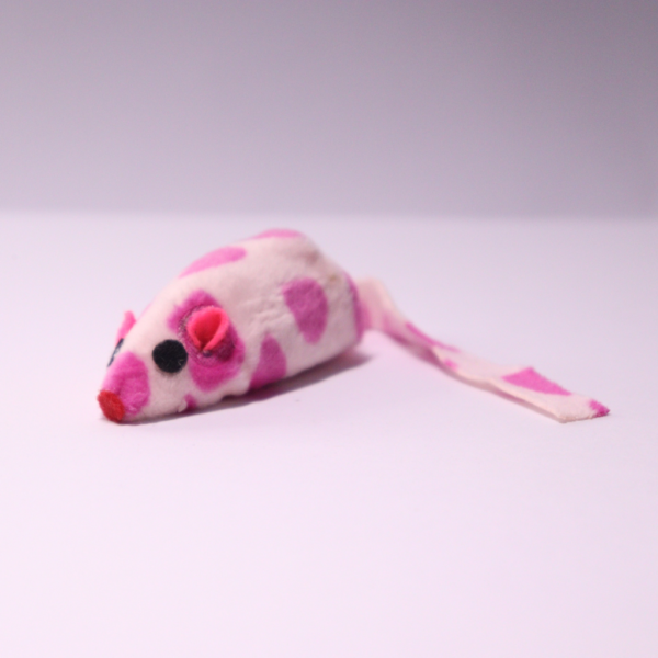 Ratinho Malhado para Gatos - Image 6
